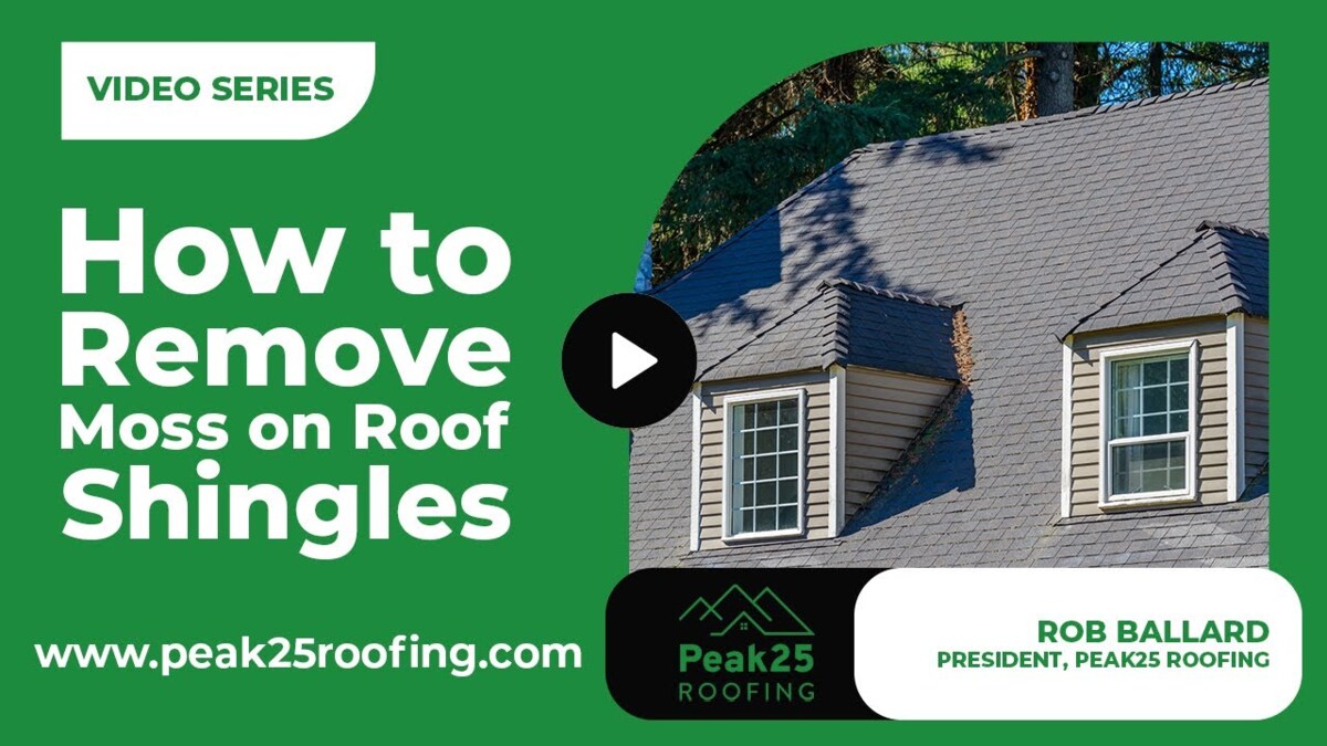 moss on roof shingles