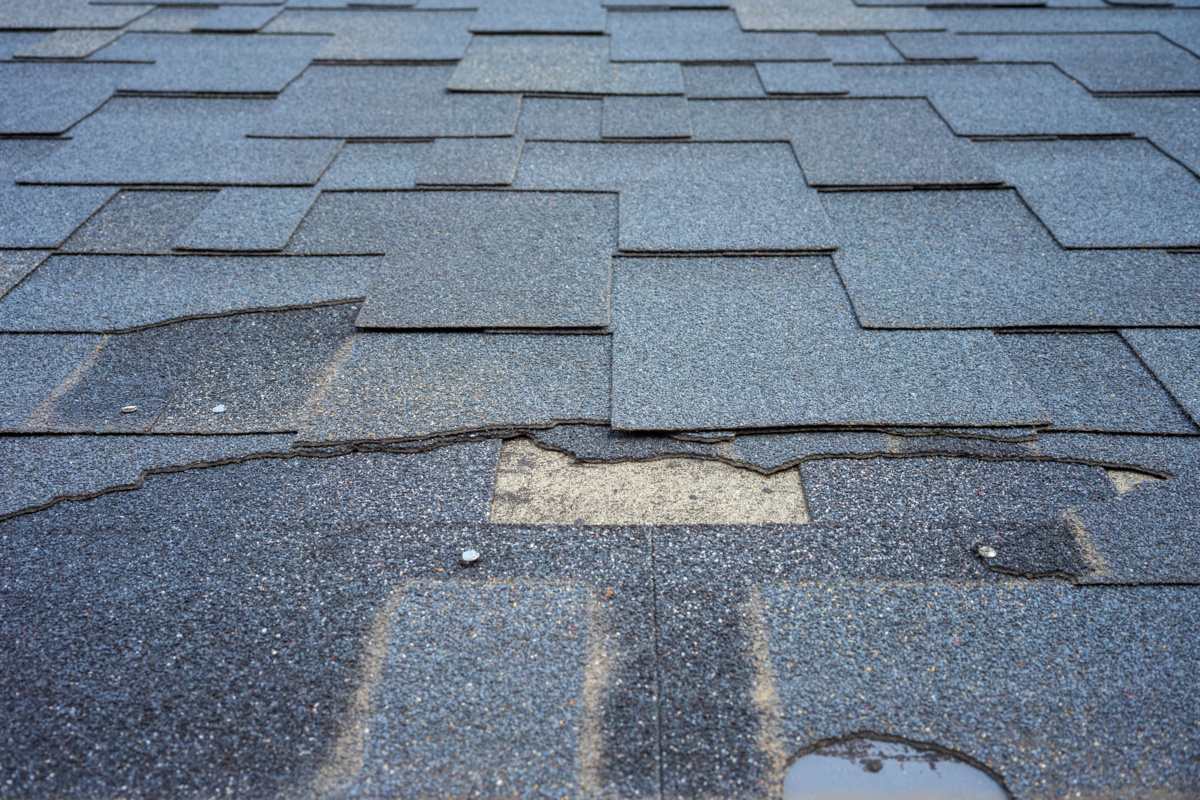 replace shingles